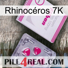 Rhinocéros 7K 32